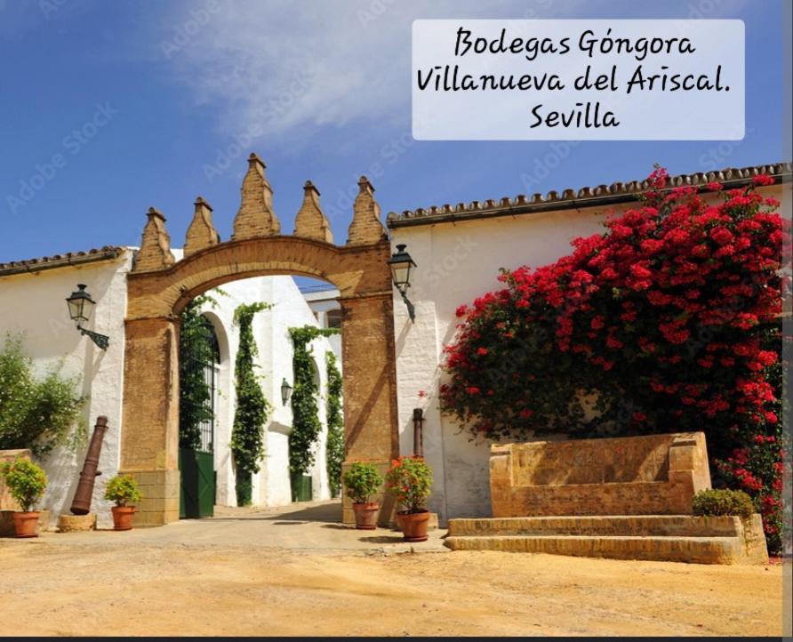 Casa Serena Villanueva del Ariscal Екстер'єр фото